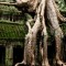 Ta Prohm: Cambodia's 'Tomb Raider' Temple