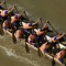 Laos boat racing festival: The Race of Friendship and Glory