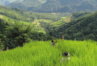 Northwest Laos Experience