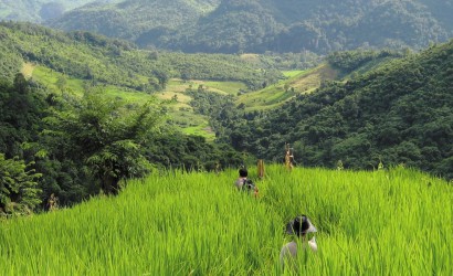 Northwest Laos Experience