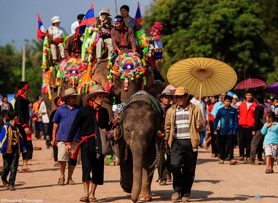 Laos Elephant Festival in Xayabouly: Where and when to join?